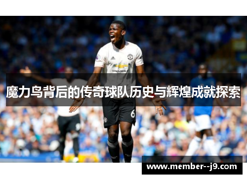魔力鸟背后的传奇球队历史与辉煌成就探索