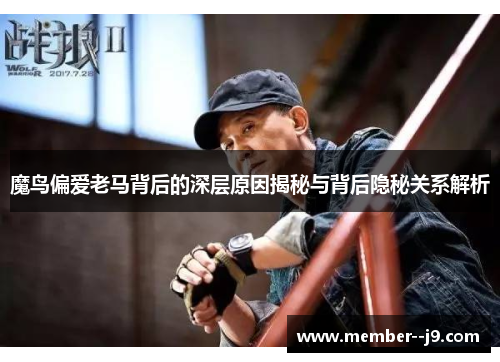 魔鸟偏爱老马背后的深层原因揭秘与背后隐秘关系解析